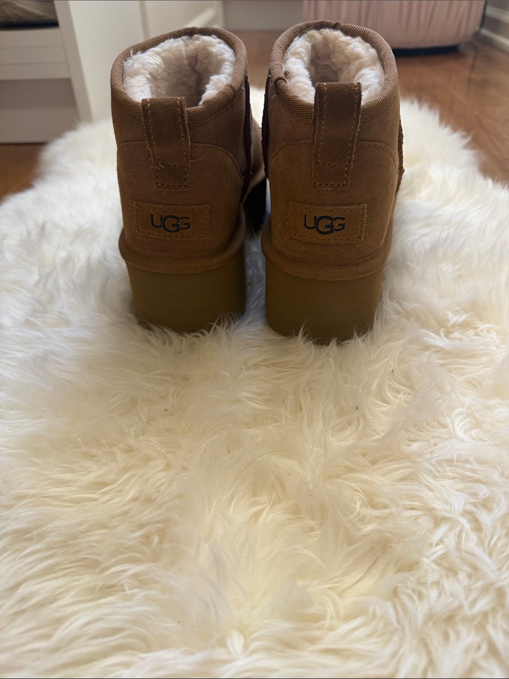 UGG Mini Ankle Boot in Chestnut Suede